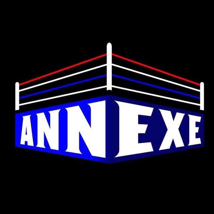 Logo Annex Boxing Gym