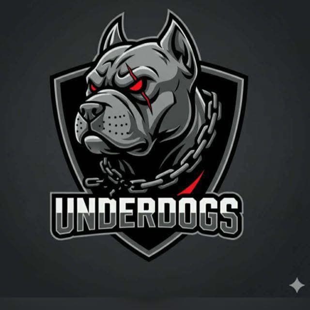 Logo Underdogs Spring Hockey