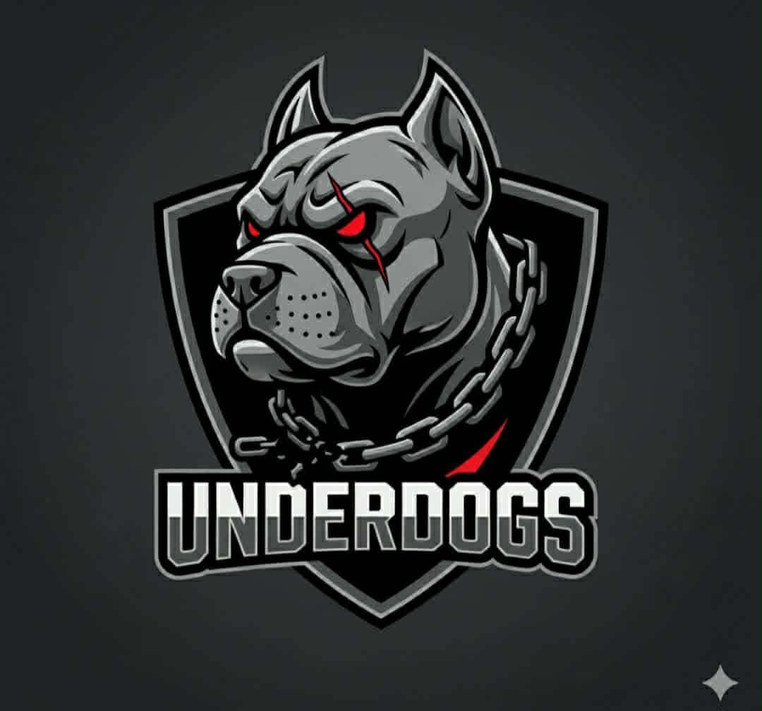 Logo Underdogs, équipes de printemps